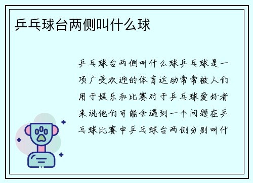 乒乓球台两侧叫什么球