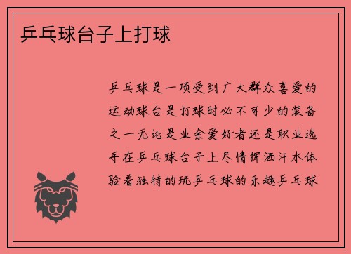 乒乓球台子上打球
