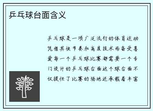 乒乓球台面含义