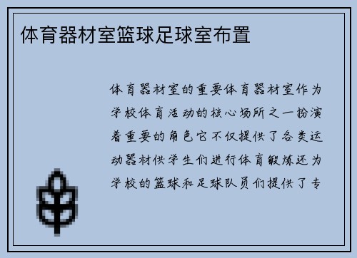体育器材室篮球足球室布置