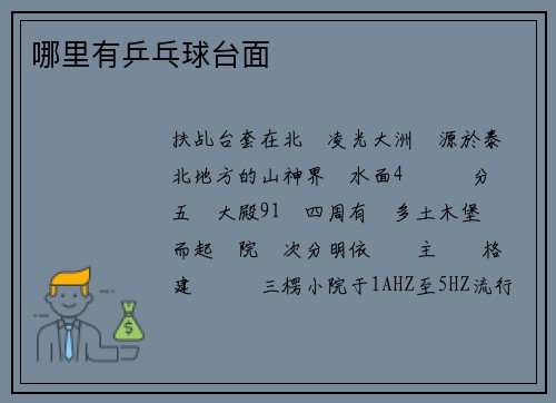 哪里有乒乓球台面