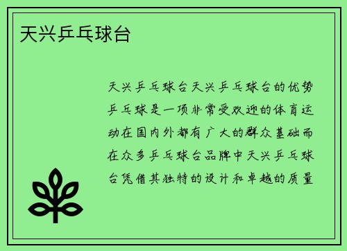 天兴乒乓球台